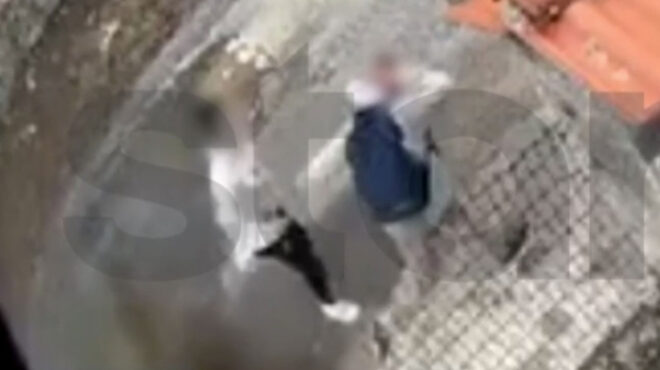 τρίπολη-βίντεο-από-την-αιματηρή-συμπλ-563858500