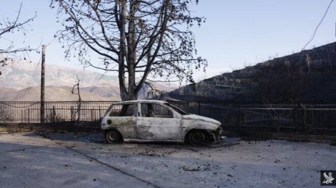 βίντεο-κ-μπορεί-η-χίος-να-επουλώσει-τ-563847856