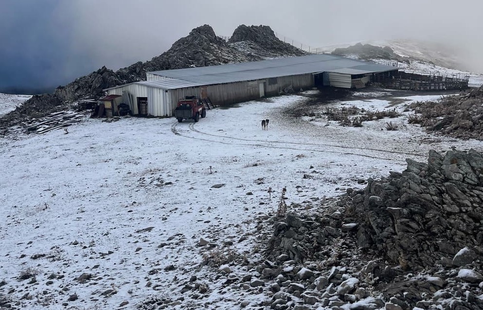 Γρεβενά: Εγκλωβισμένοι οι κτηνοτρόφοι στα… χιονισμένα θερινά τους κονάκια λόγω της ευλογιάς-1