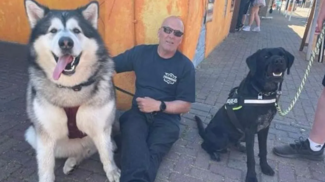 ενας-αθώος-γίγαντας-η-ζωή-με-έναν-σκύ-563865814