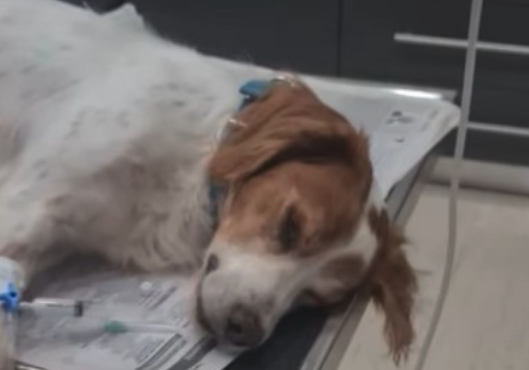 ηλεία-καταγγελία-για-σεξουαλική-κακο-563881600