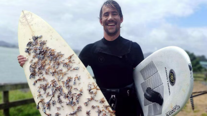 εχασε-τη-σανίδα-του-σερφ-στην-τασμανία-563889079