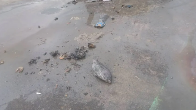 εξιχνιάστηκε-περιβαλλοντική-ρύπανση-563890228