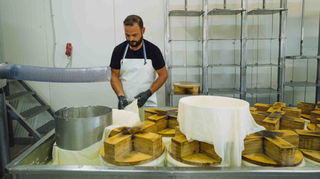 βραβείο-παραγωγής-τυροκομικών-προϊό-563877238