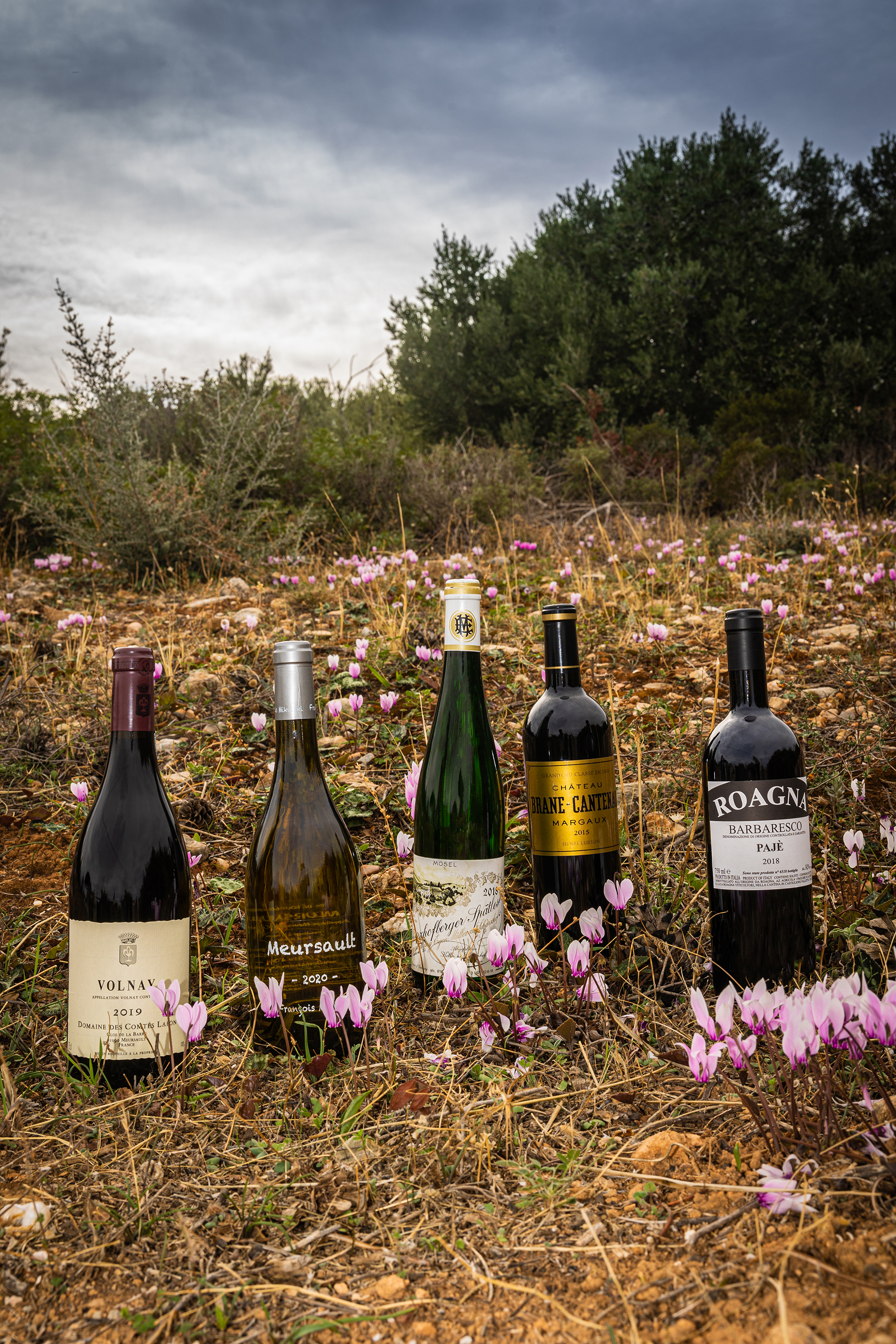 Τι σημαίνει τερουάρ;-1