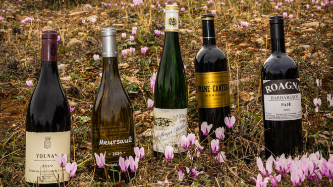 τι-σημαίνει-τερουάρ-563892079