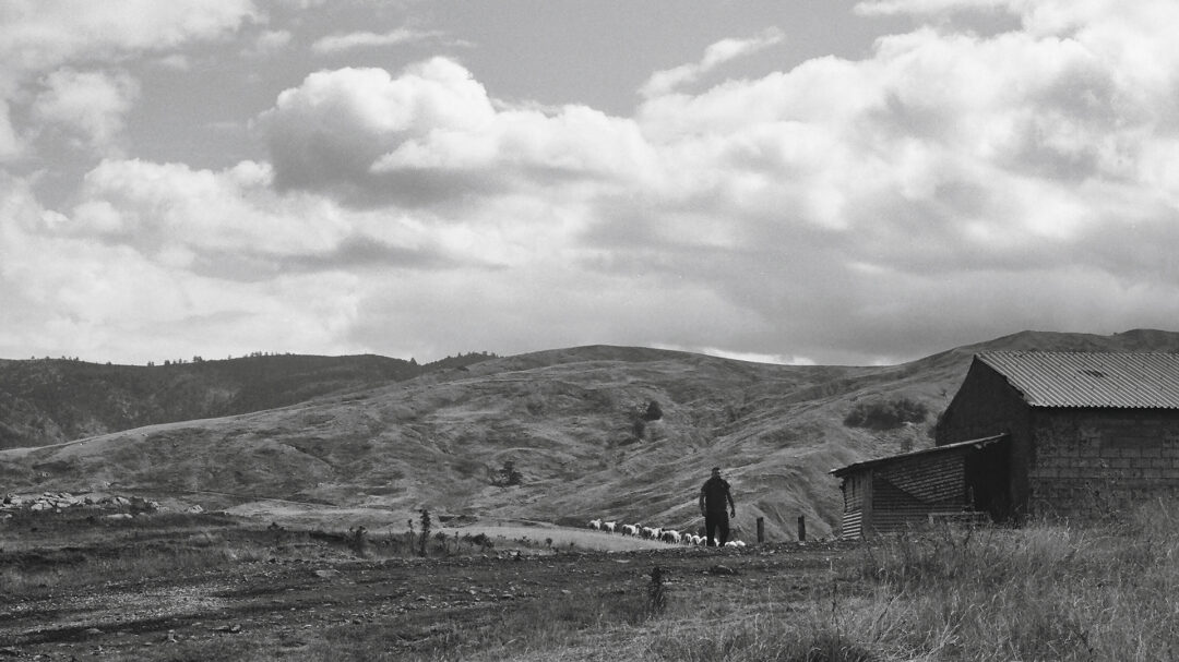 μιλάει-βλάχικα-η-gen-z-563873404