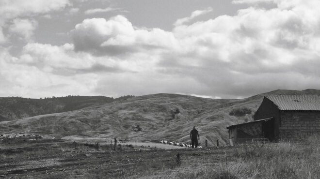 μιλάει-βλάχικα-η-gen-z-563873404