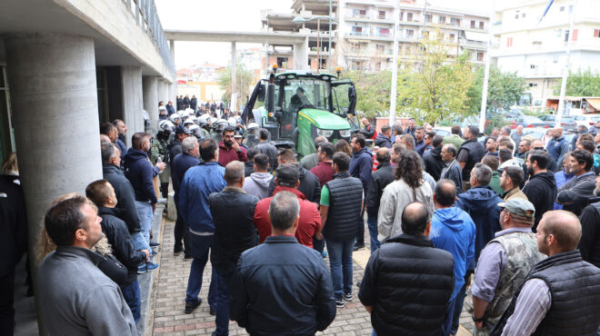 διπλό-αγκάθι-το-αγροτικό-για-ν-δ-563862397