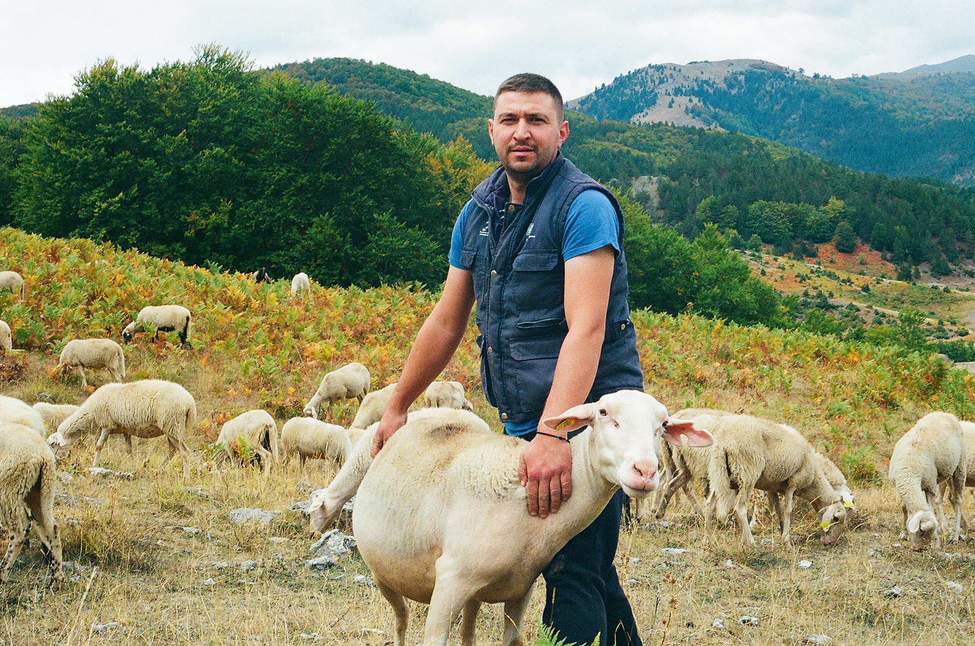 Μιλάει βλάχικα η Gen Z;-3