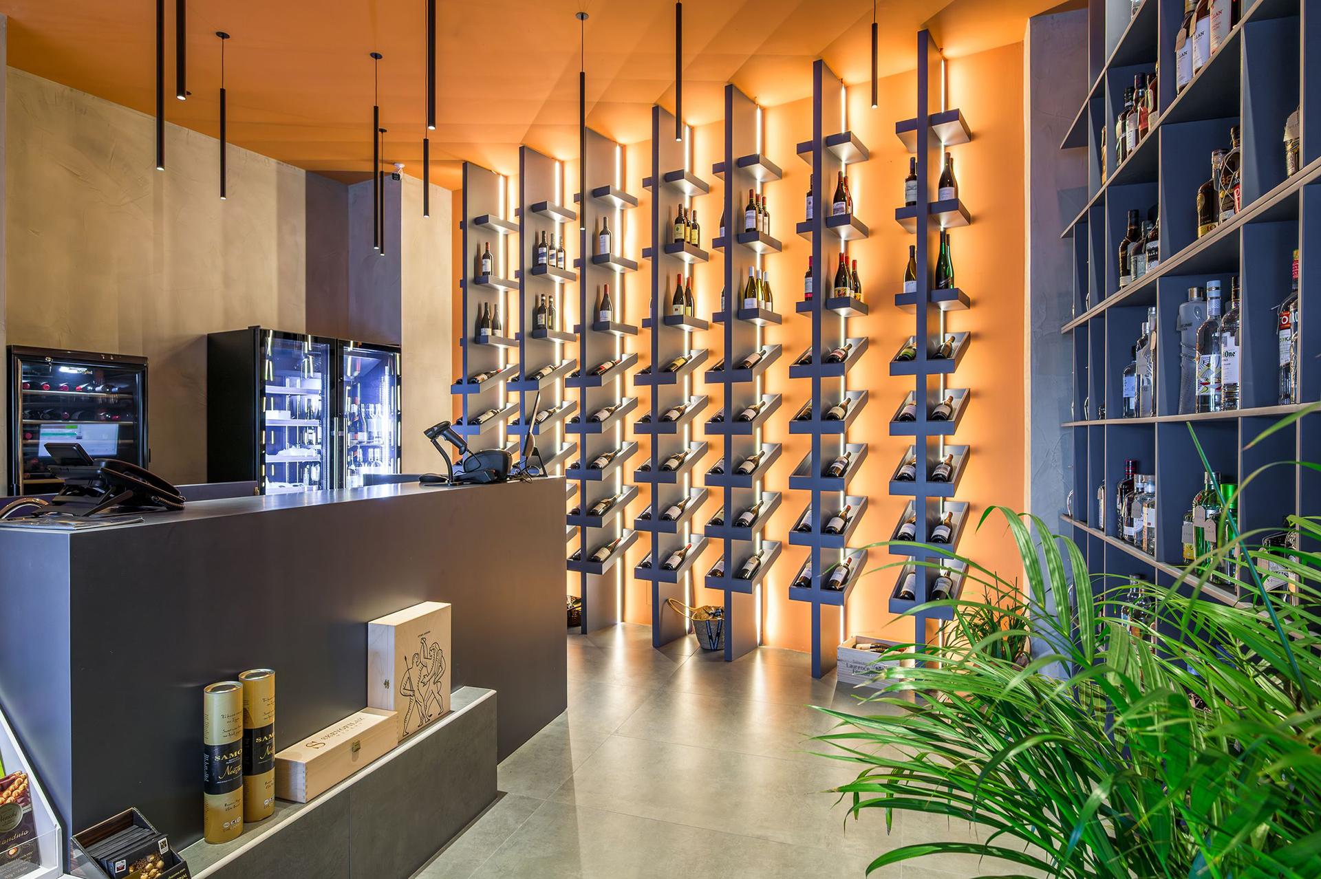 Το κρασί επιστρέφει στην Κω: ένα νησί ανακαλύπτει ξανά τις ρίζες του-1