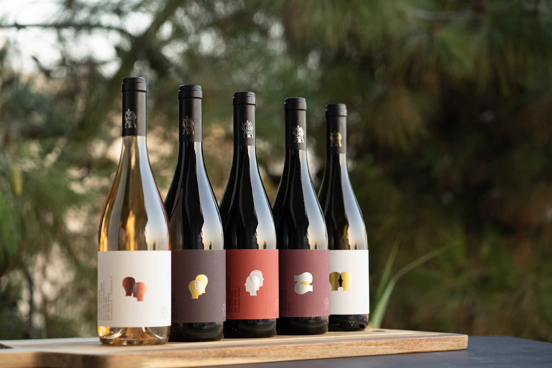 Το κρασί επιστρέφει στην Κω: ένα νησί ανακαλύπτει ξανά τις ρίζες του-3