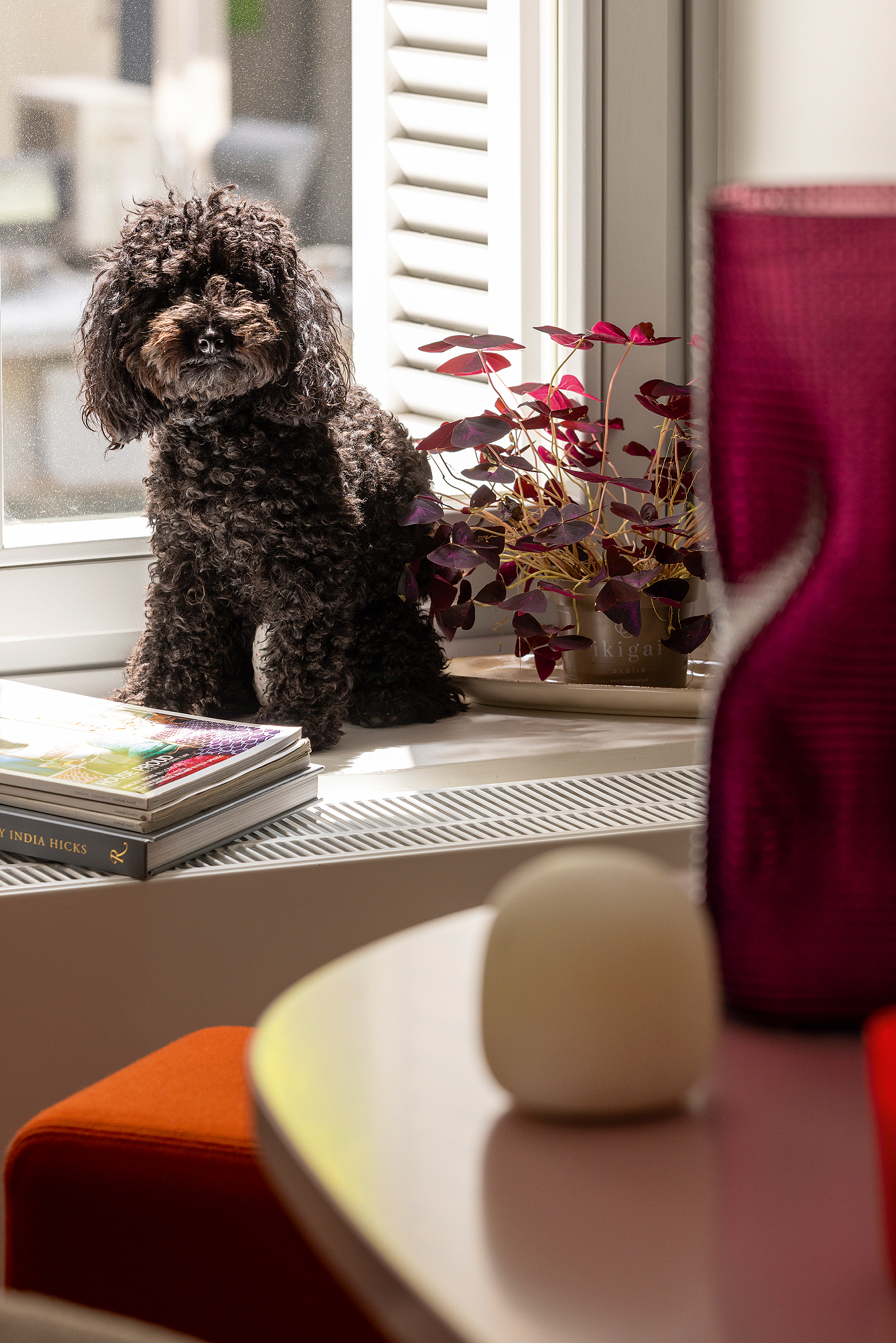 Ενα «υβριδικό» σπίτι στο Κολωνάκι-5