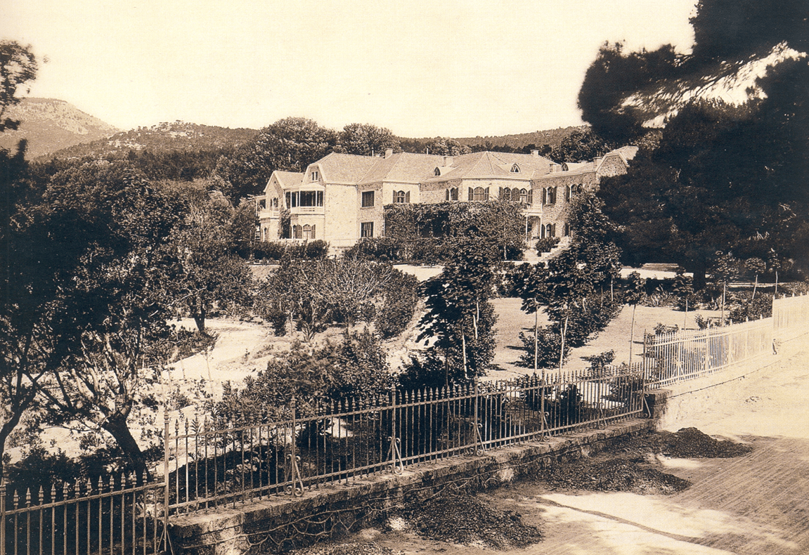 Τα πρωτοβρόχια αναζωογονούν το Τατόι, που σταδιακά φοράει ξανά τη γνώριμη πράσινη στολή του-1