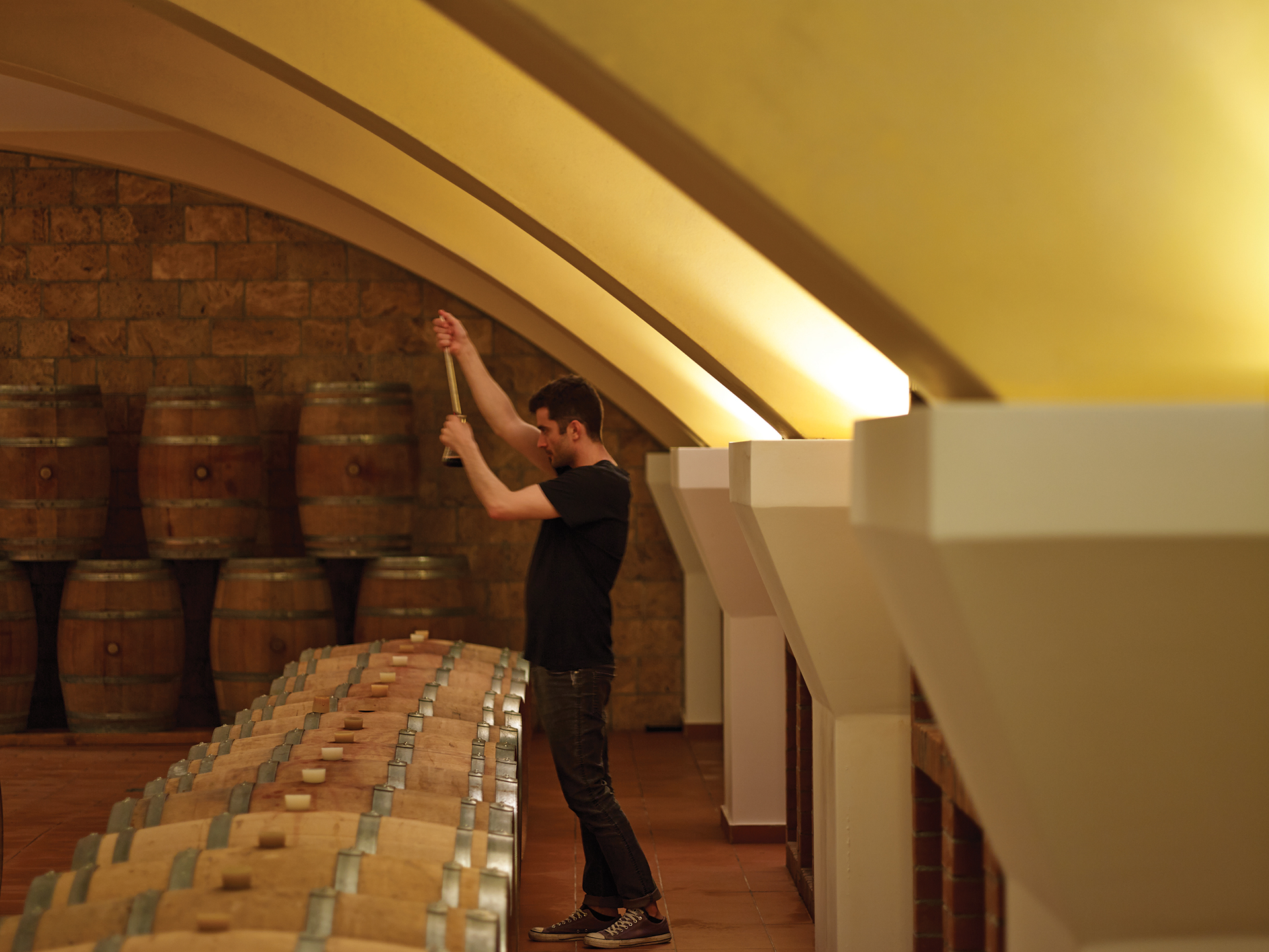 Το κρασί επιστρέφει στην Κω: ένα νησί ανακαλύπτει ξανά τις ρίζες του-2