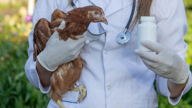 υγεία-στη-μάχη-κατά-της-μικροβιακής-563888410