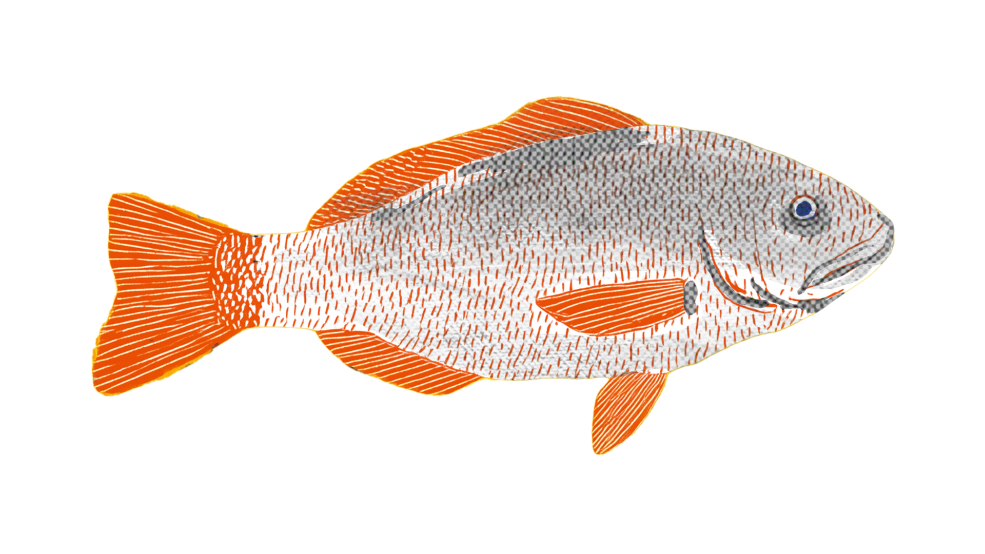 Μεγάλες αλήθειες για τη μεσογειακή διατροφή-12