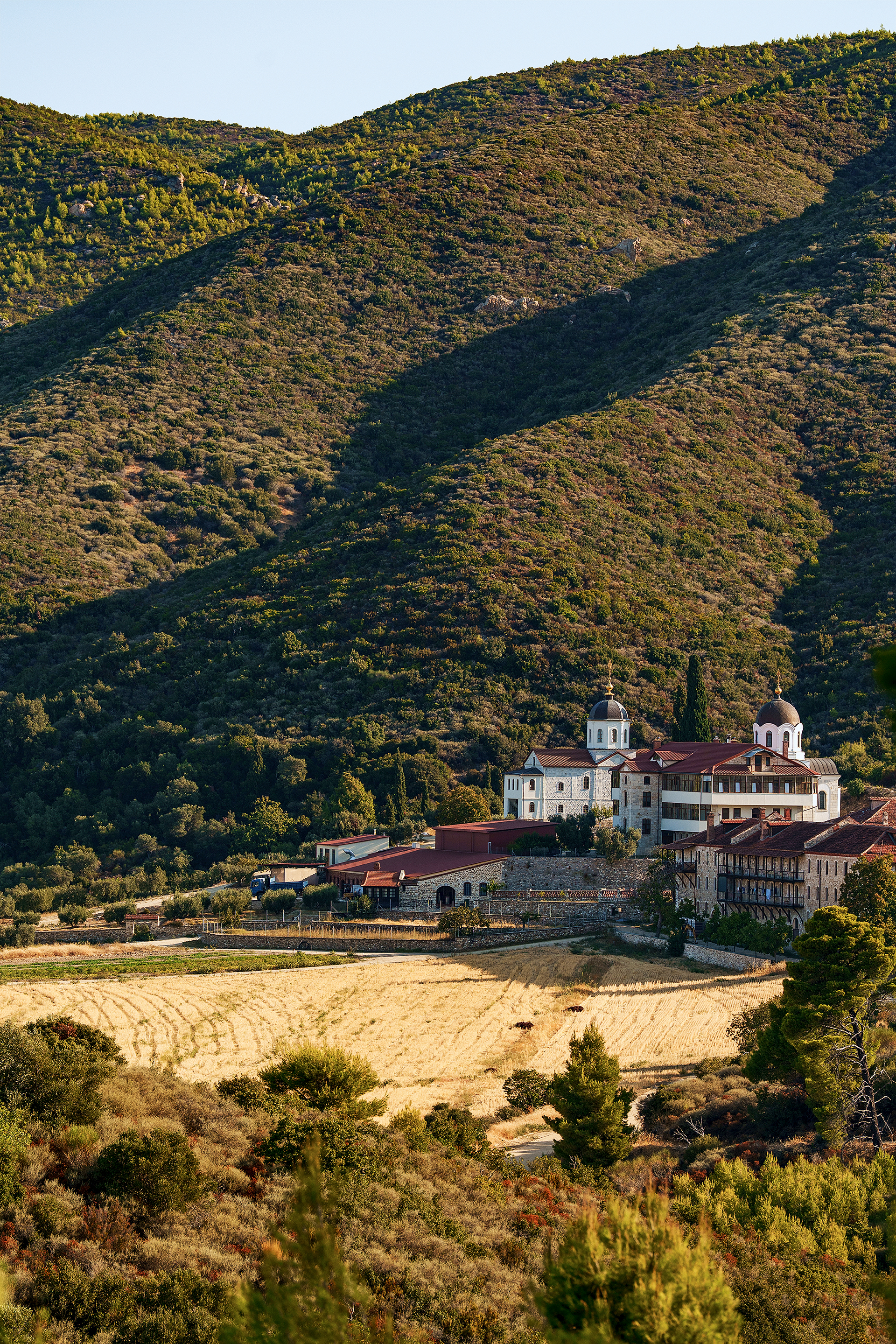 Δίπλα στους μοναχούς που ετοιμάζουν τη δικιά τους ετικέτα κρασιού-3