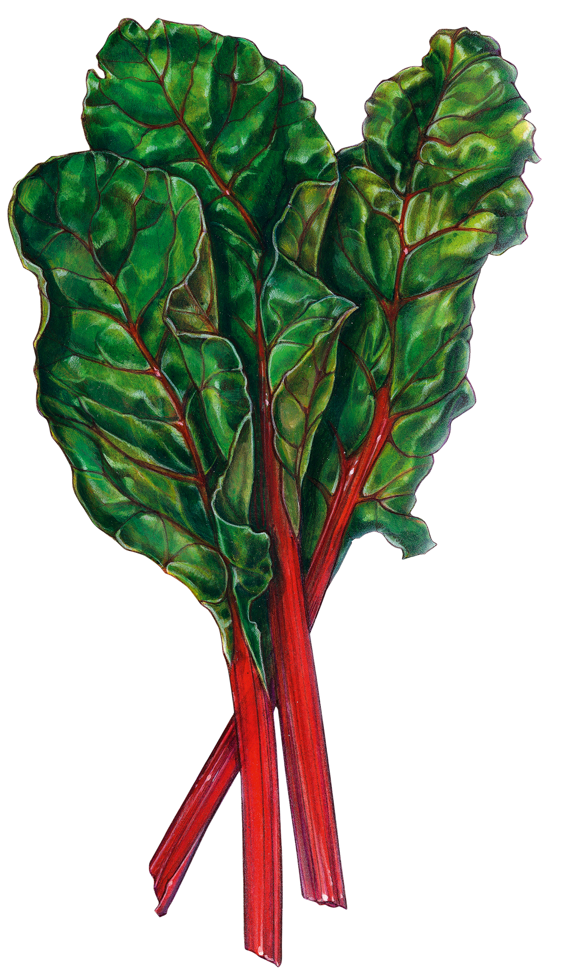 Το βραστό λαχανικό με τις αντιφλεγμονώδεις και αντιοξειδωτικές ιδιότητες-1