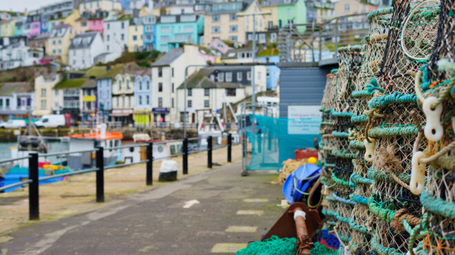 χταποδάκι-με-ουζάκι-στο-γραφικό-μπρίξ-563850520