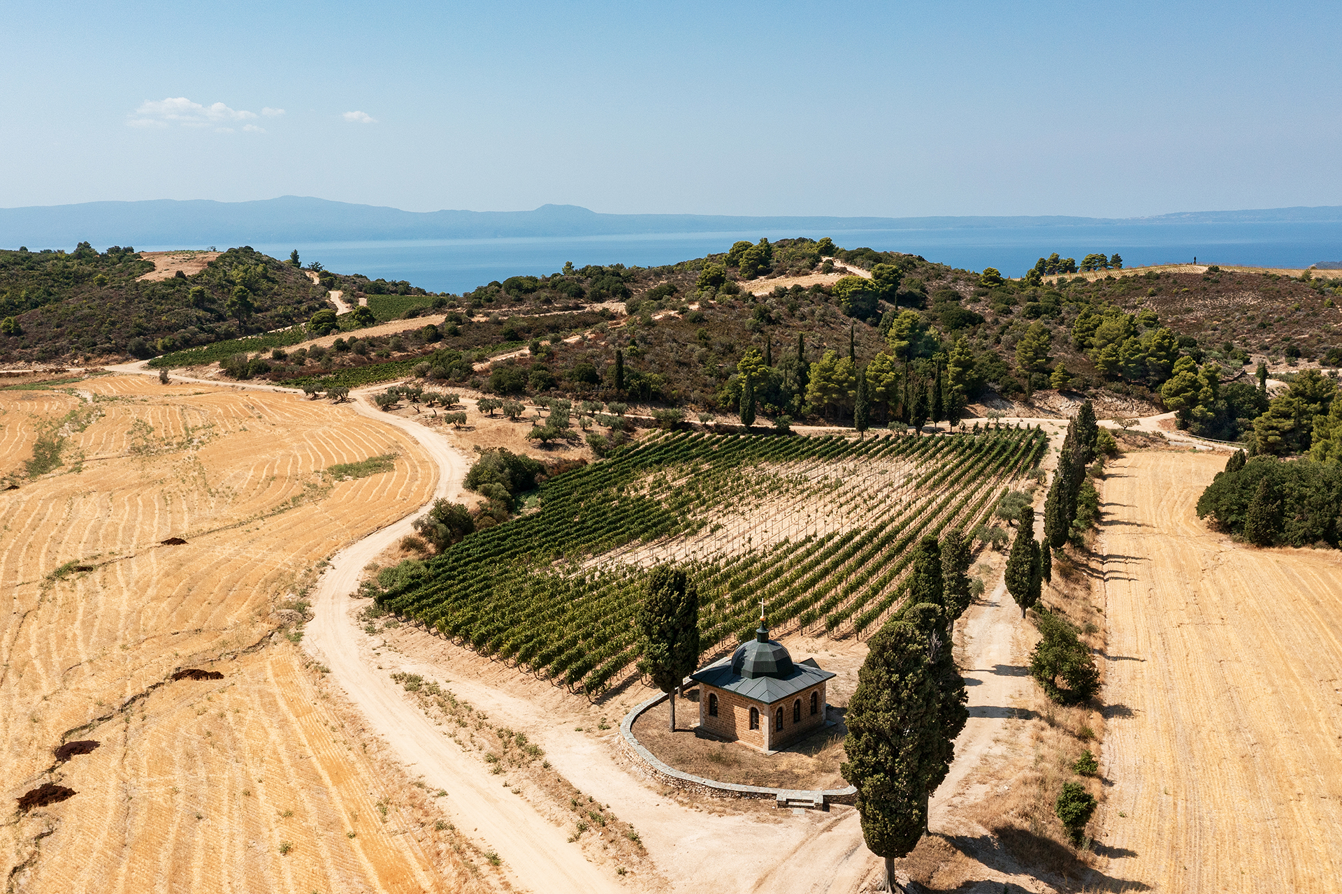 Δίπλα στους μοναχούς που ετοιμάζουν τη δικιά τους ετικέτα κρασιού-4