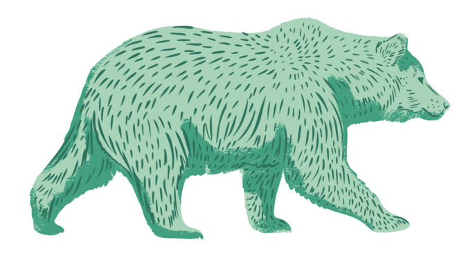 τι-να-κάνω-αν-συναντήσω-αρκούδα-563883538