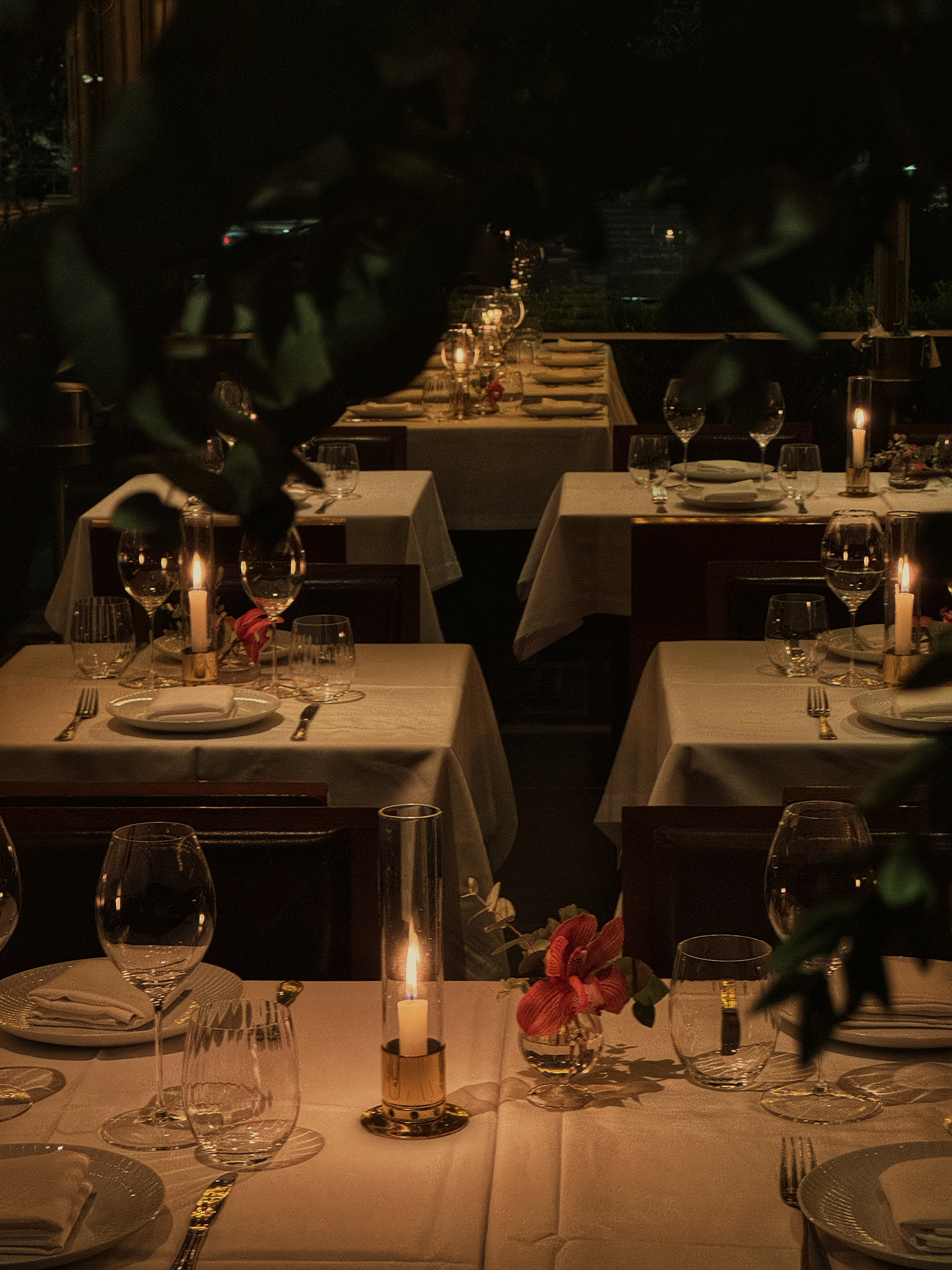 Vezene: Θεματικά μενού με σπουδαία κρασιά στο εστιατόριο των Ιλισίων-1