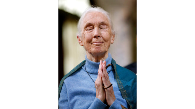 η-φρίκη-στα-social-media-θα-είναι-παντοτινή-563862943