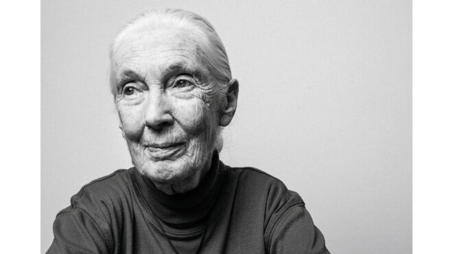 τζέιν-γκούντολ-η-αγία-των-χιμπαντζή-563858347