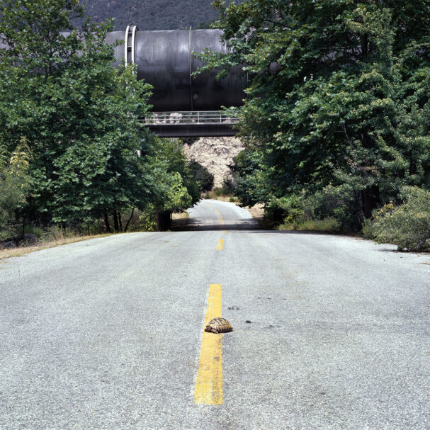 η-σκακιέρα-γυρίζει-ανάποδα-563862544