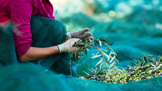 βιολογικά-κομισιόν-το-έμαθαν-από-τι-563862295