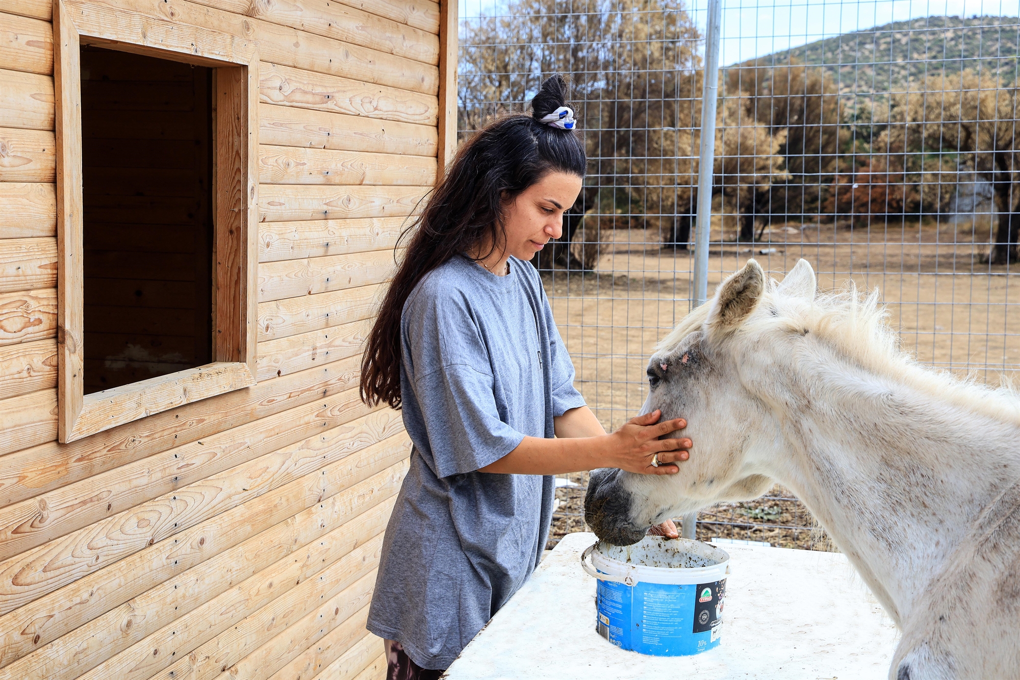 Στο «ντιβάνι» των τετράποδων θεραπευτών-3