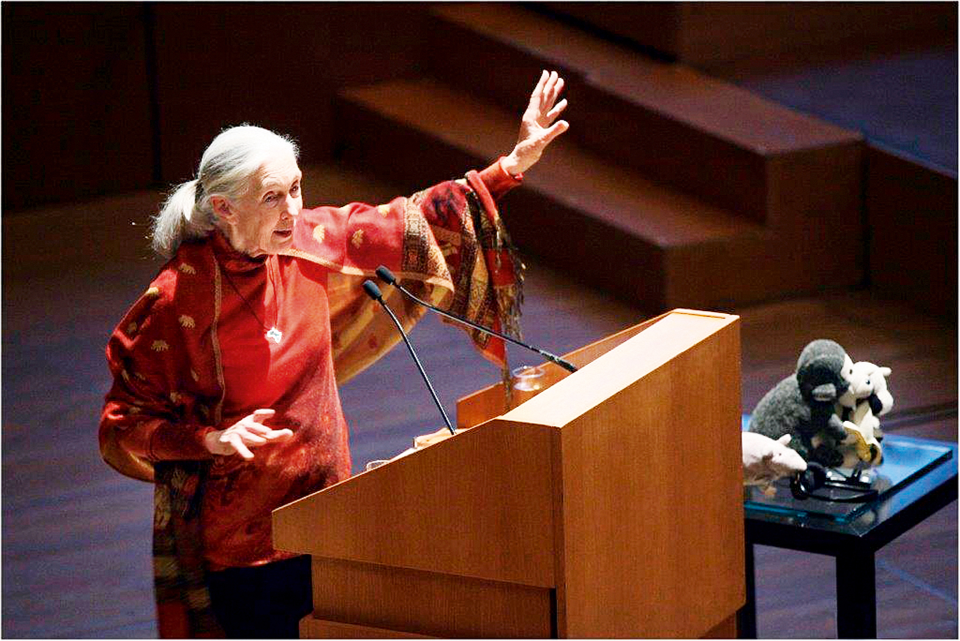 Τζέιν Γκούντολ, η «Αγία» των χιμπαντζήδων-3