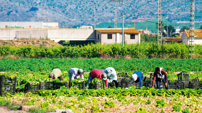 κλωνοποιημένοι-εργάτες-563863297
