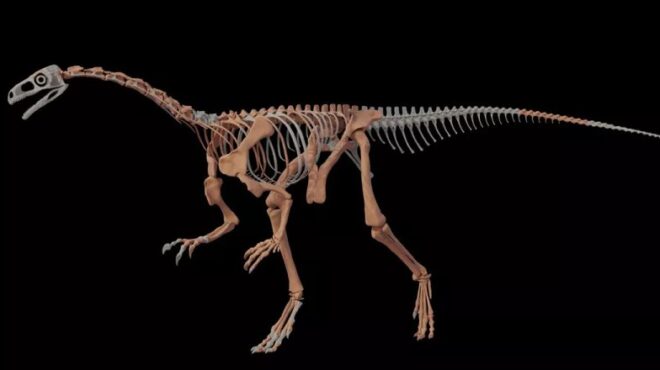 αργεντινή-επιστήμονες-ανακάλυψαν-νέ-563869981