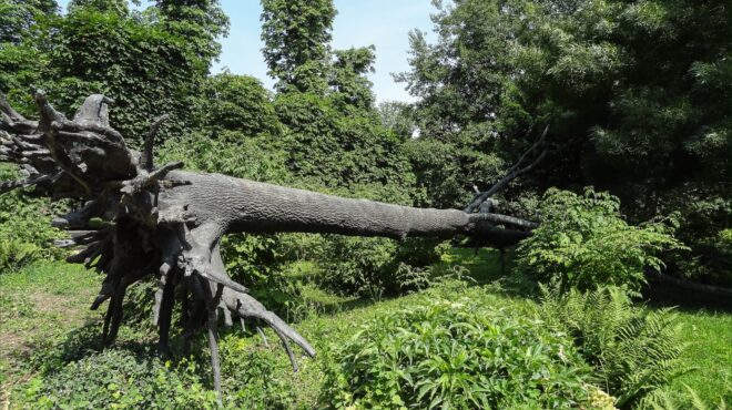 μια-πόλη-με-δύο-όχθες-διαφορετικών-ταχ-563863222