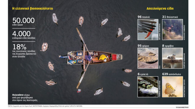 mια-ενδεκάδα-για-την-άγρια-ζωή-563855647