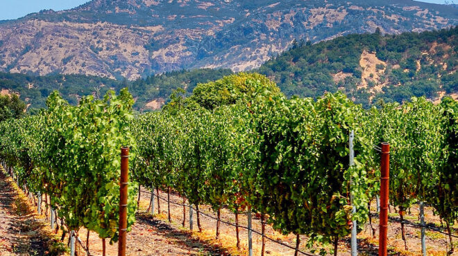 σε-κρίση-βυθίζεται-η-βιομηχανία-κρασι-563866000