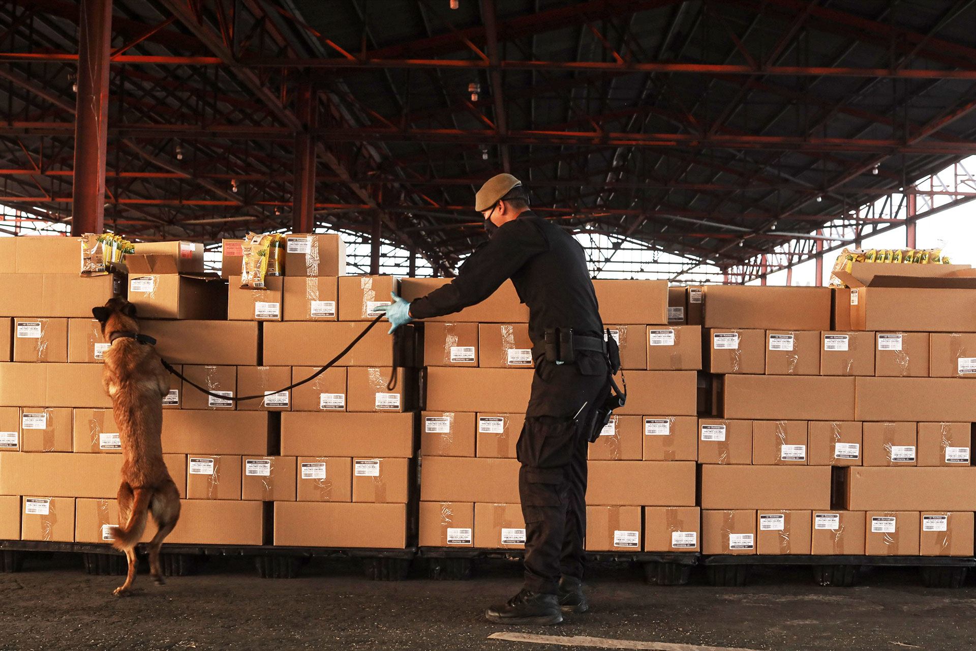 Καρτέλ ναρκωτικών: Ο «Διονύσιος» ήταν ο Αλβανός Εσκομπάρ-1