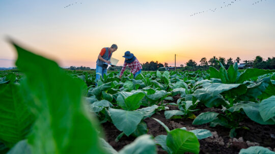 Αγρότης ή τίποτα; Ο αγροτουρισμός σε λάθος χωράφι
