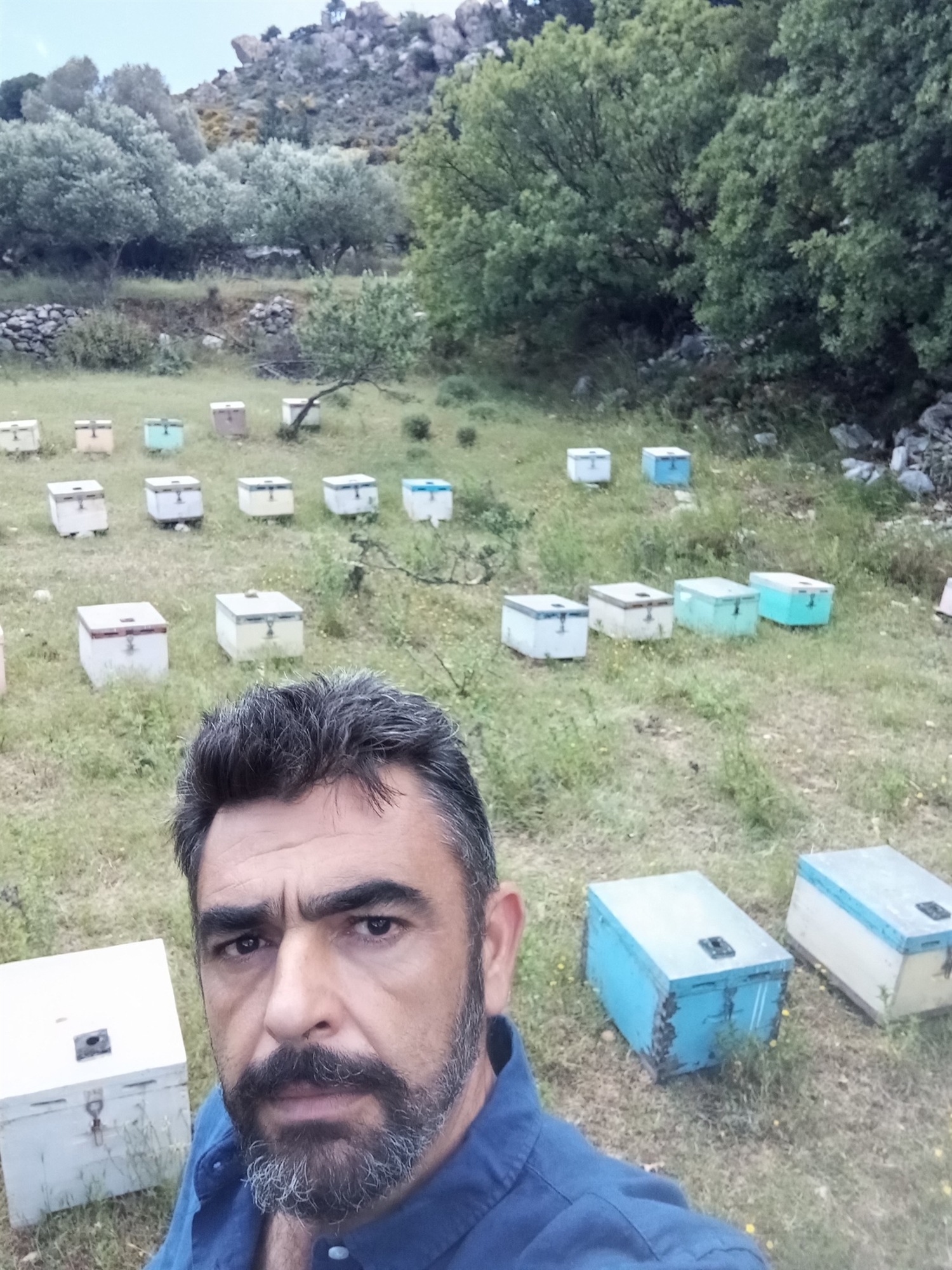 Μέλι περίπου ελληνικό-2