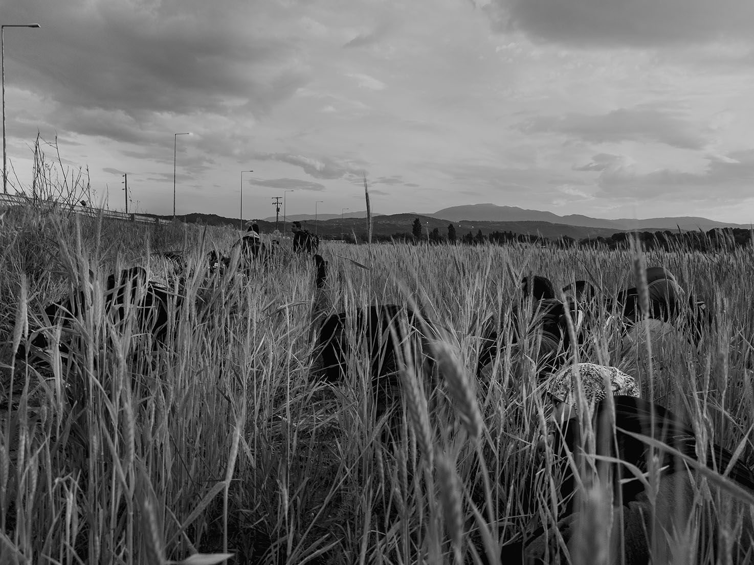 Ασπρόμαυρο ταξίδι προς την ελπίδα-2