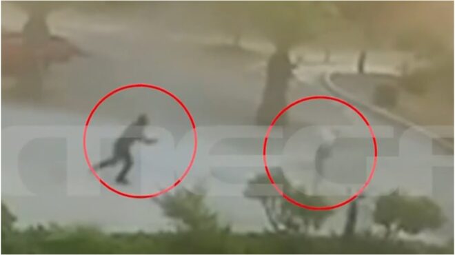 φοινικούντα-βίντεο-ντοκουμέντο-από-τ-563877895