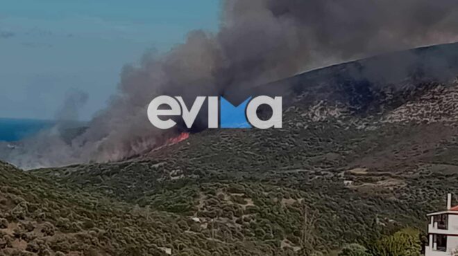 φωτιά-στην-εύβοια-σηκώθηκαν-τρία-εν-563862736