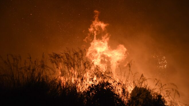 φωτιά-στη-ρόδο-μεγάλη-κινητοποίηση-τ-563844223