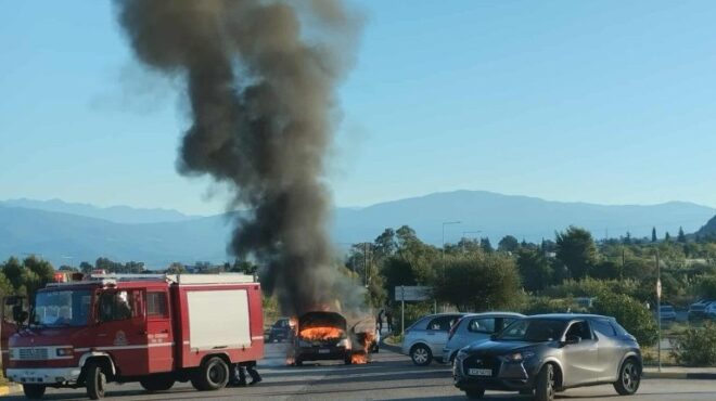 πάτρα-φωτιά-σε-ι-χ-έξω-από-το-πανεπιστη-563857345