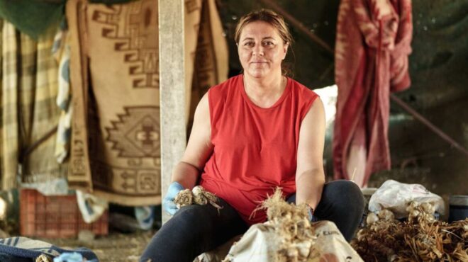 βραβείο-καλλιέργειας-στα-σκόρδα-entopio-α-563888035