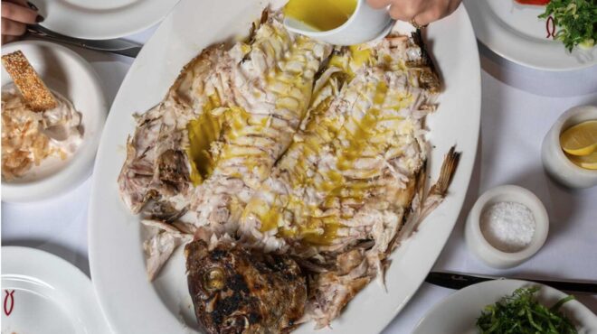 ιώδιο-ψαροφαγία-μνήμη-και-δεξιοτεχνί-563888041