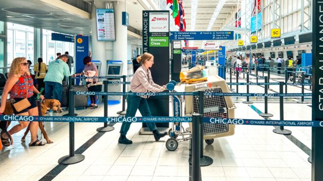 αποσκευές-τα-κατοικίδια-στις-πτήσε-563871361