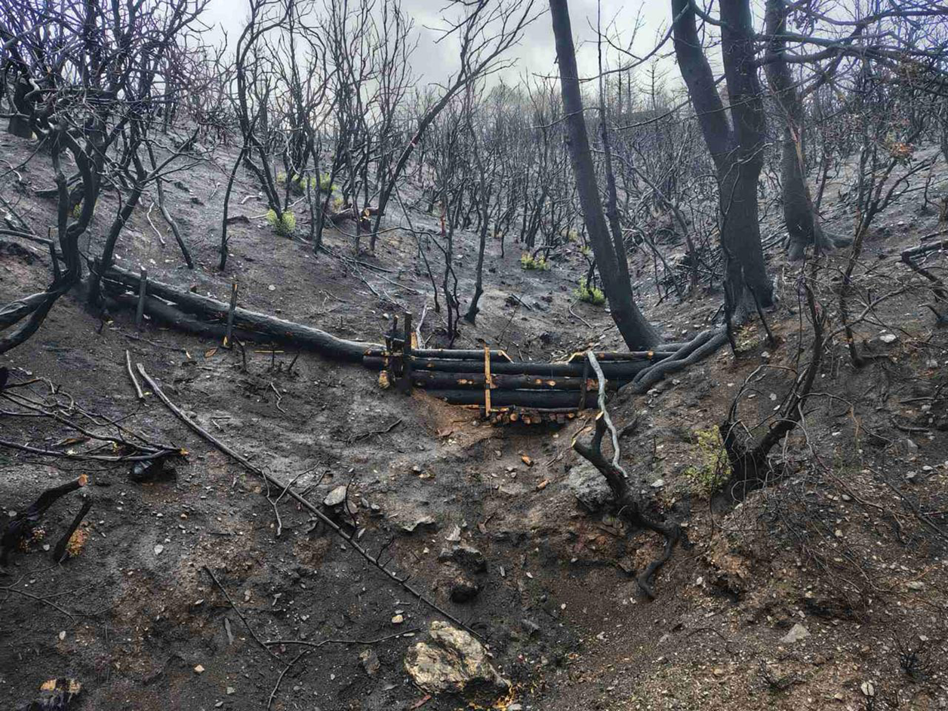 Κορινθία: Εργα στα καμένα για να προλάβουν τις πλημμύρες-2